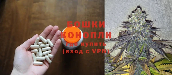 сатива Армянск